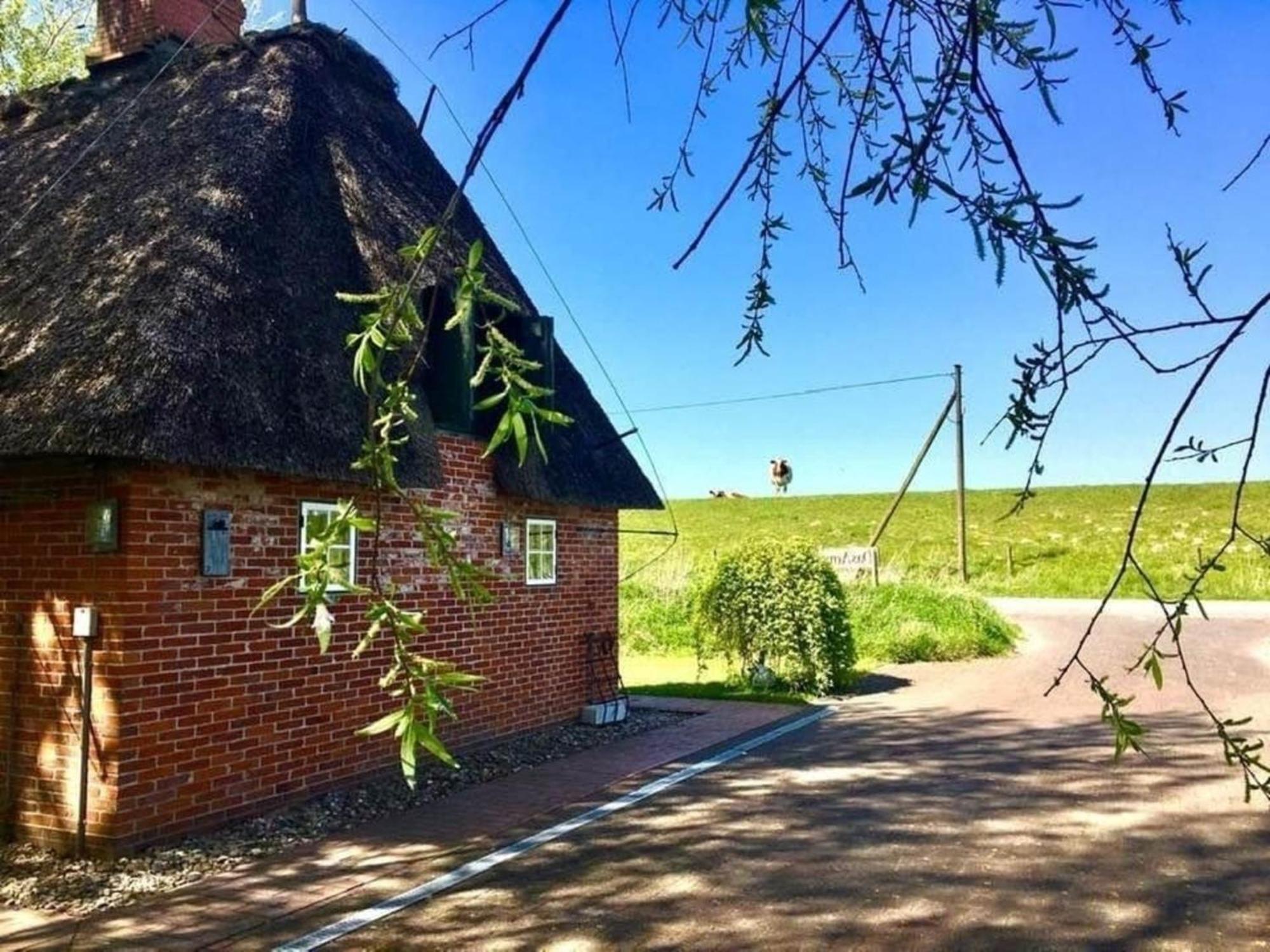 Reetdachhaus Fuer Erholsamen Familienurlaub Villa Norderfriedrichskoog Exterior photo